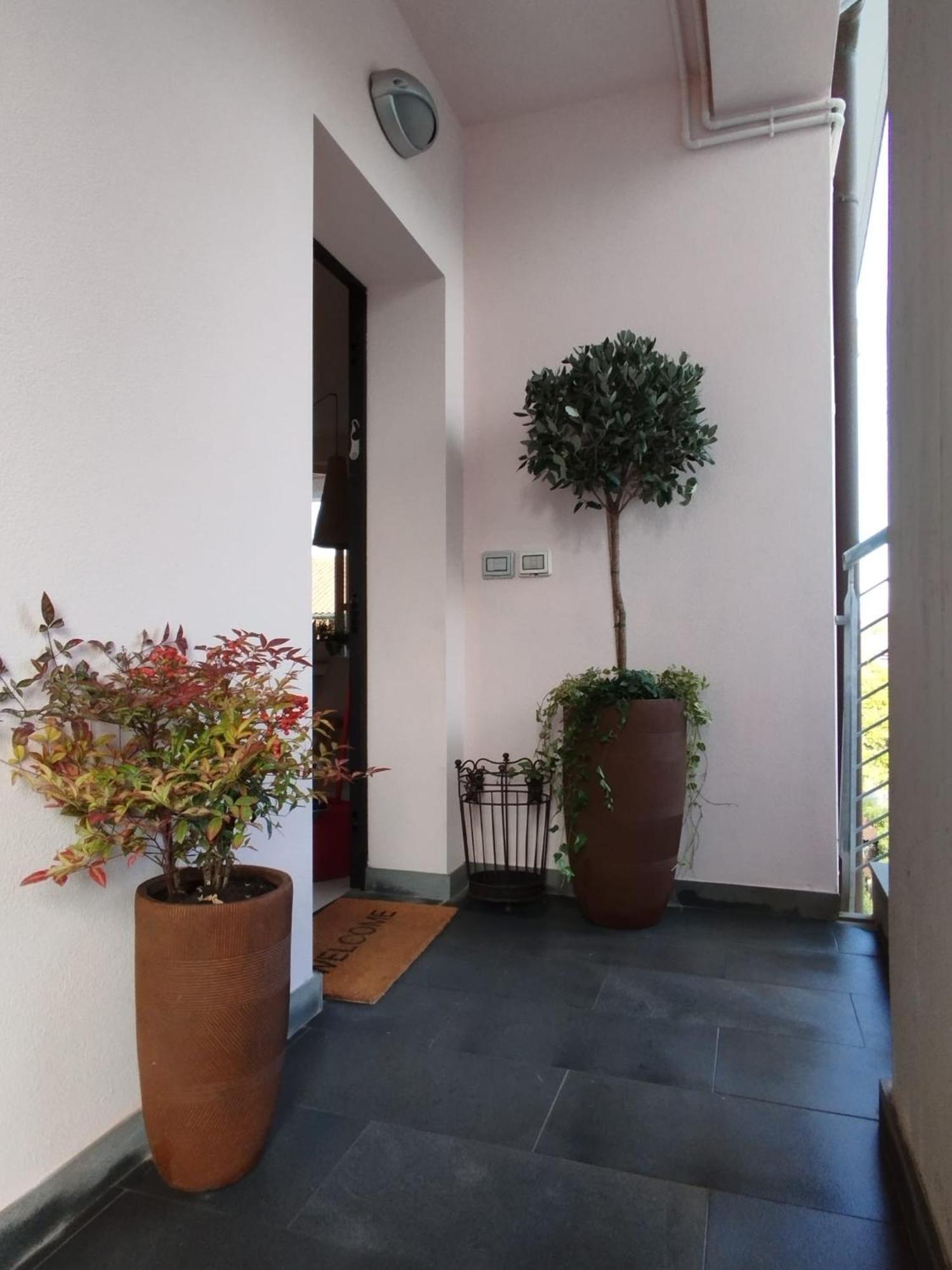 Casa Degli Aromi Apartment Lucca Exterior photo